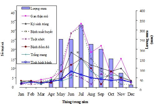 cứu của Nguyễn Thị Thu Hằng và Đặng Thị Hoàng Oanh (2016) cũng đã xác định vi bào tử trùng là tác nhân gây bệnh gạo trên cá tra. Hình 2.2: Các loại bệnh phổ biến trên cá tra nuôi ở ĐBSC (Phan et al.