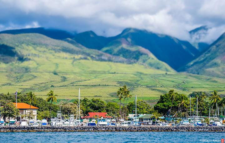 After the sunset has turned to stars, enjoy the live performance that focuses exclusively on Hawaii, which makes the Old Lahaina Luau distinct from other luaus on the island.