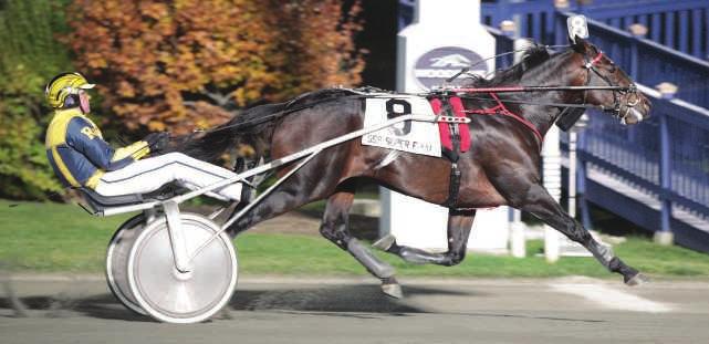 A Proven Sire from the Great Kadabra! TEXT ME Kadabra-Dial Nile-Super Bowl 2, 1:56.2s; 3, 1:54.