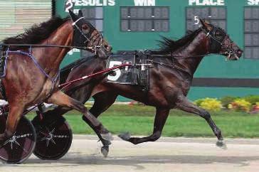 Credit Winner-D Train-Donerail 3,1:52m ($365,541) Pedigree. Proven Results. Commercial Appeal.