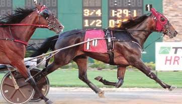 that breeders seek. He is a full brother to World Champion PIZZA DOLCE 3, 1:52.4 ($668,824), the dam of MISS PARIS 3, 1:54.