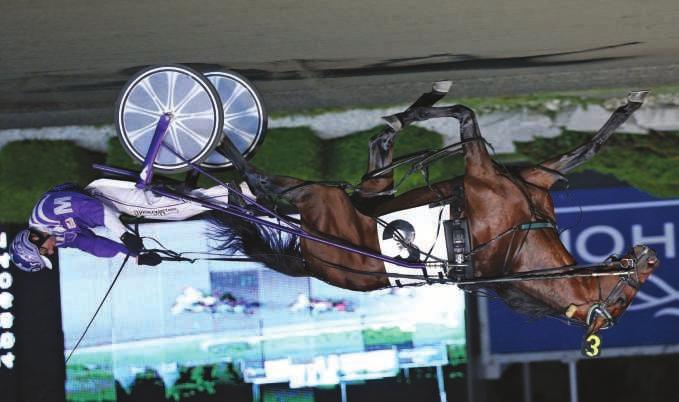 ..winner of a North America Cup elim in his record 1:48.4 and finished second in the $920,000 North America Cup Final. He also finished third in the Meadowlands Pace Final, timed in 1:47.1. Tellitlikeitis is by Well Said and from the millionaire racemare Kikikatie p,3,1:50.