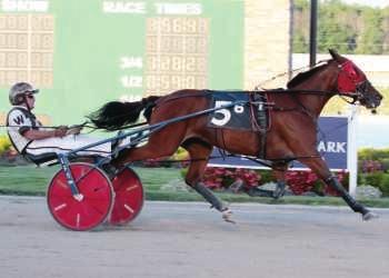 1f- 16 ($1,109,407) UNDEFEATED 2015 Indiana Sires Stakes Champion - 3 Year Old Colt Trot At 4, he established a WORLD RECORD for Aged Geldings on a 5/8 mile track!
