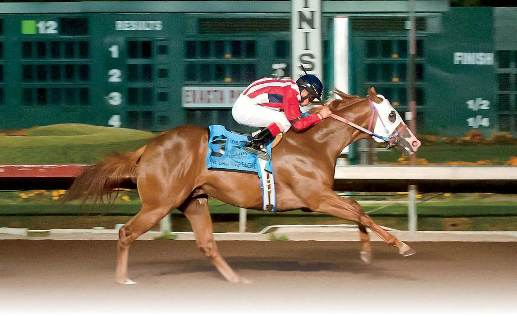 One Dashing Eagle romps in the Ed Burke Million Futurity. Click to watch Ed Burke Million Futurity.