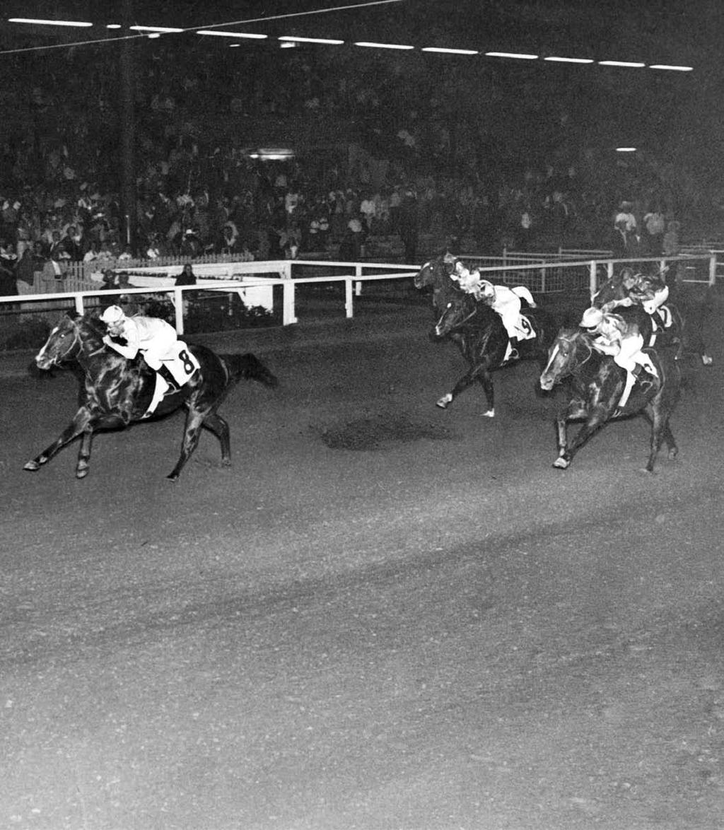 Mr Bar None wins the 1957 Kansas Futurity. AQHA FILE PHOTO Dduring the late 1950s, the aptly named horse mr bar none was a dominant force in American Quarter Horse racing.