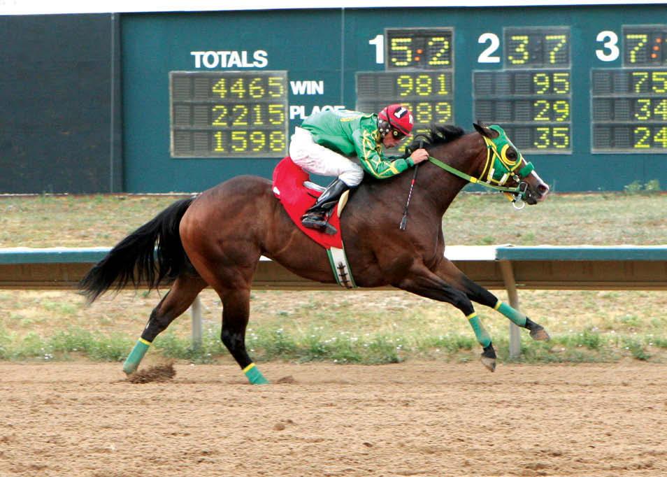 COADY PHOTOGRAPHY Dreamers Cartel wins the Merial Arapahoe Distaff Challenge. Ms Eaves is owned by the partnership of Perez Jr./O. Gomez/J. Diaz/F. Dena.