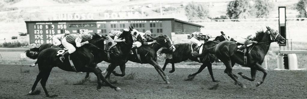 Hustling Man wins the 1962 All American Futurity. a gift for communicating with horses and a reputation for being able to talk with them, verbally and spiritually.
