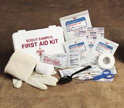 First aid is the first help or immediate care given someone who has suddenly sickened or been hurt in an accident.