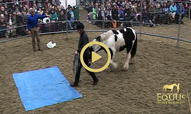 Sincerely, MONTY'S EQUUS ONLINE UNIVERSITY THIS WEEK'S EPISODE This online video series shows Martin Clunes and Monty working together to build a horse's trust. Not a student yet?