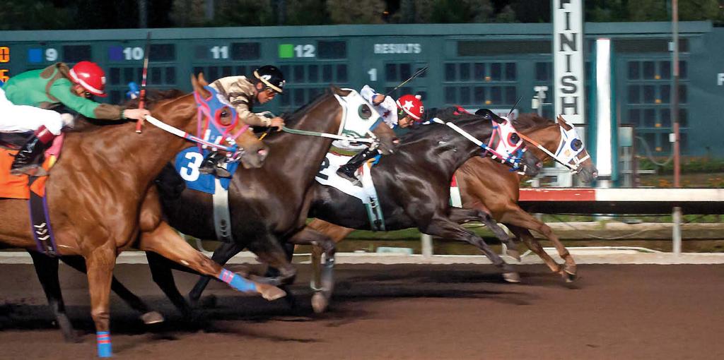 SCOTT MARTINEZ Chivalry SR holds off El Aguila Real and Cold Cash 123 in the Robert L. Boniface Los Alamitos Invitational Championship. Chivalry SR tunes up in the Robert L.