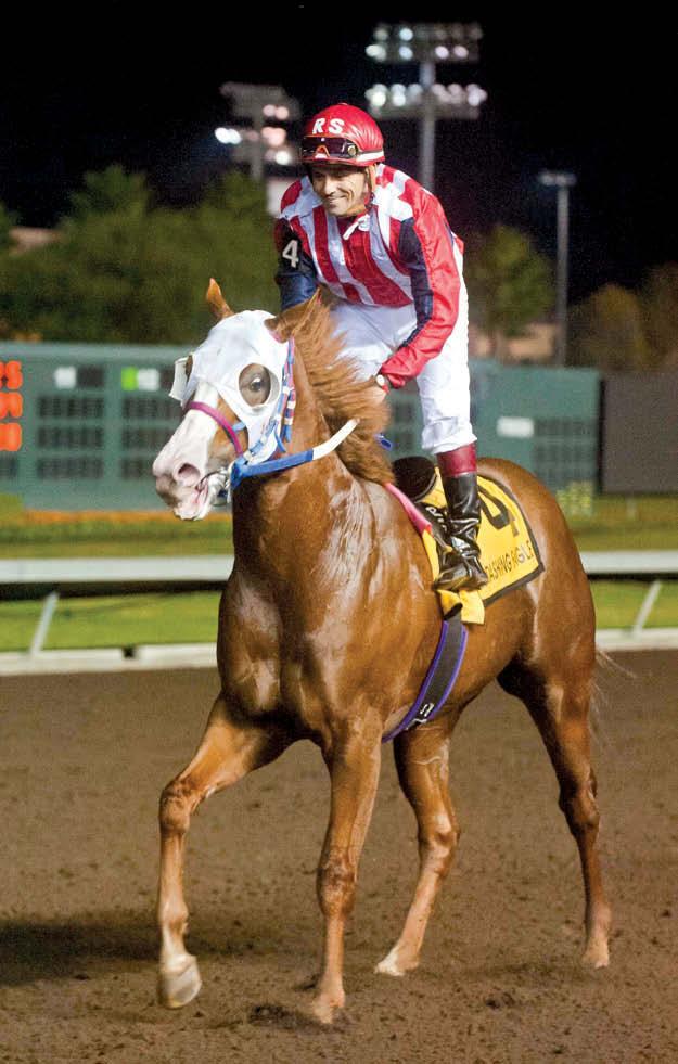 SCOTT MARTINEZ The 47-1 longshot Seperate Interest finished second after closing steadily throughout the race.
