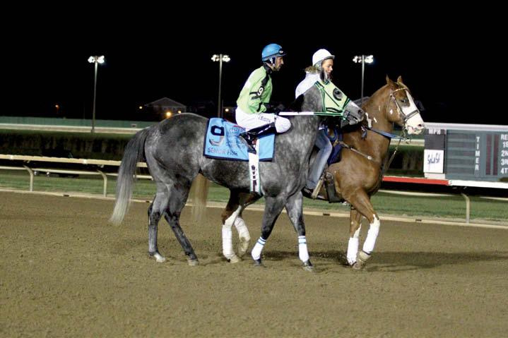 Challenge Championship. A 4-year-old gelding by Fishers Dash, Senor Fish outran JA Sundance by a head. Owned by Miguel Banuelos, Senor Fish was ridden by Jose Montoya and trained by Jose Aguilera.