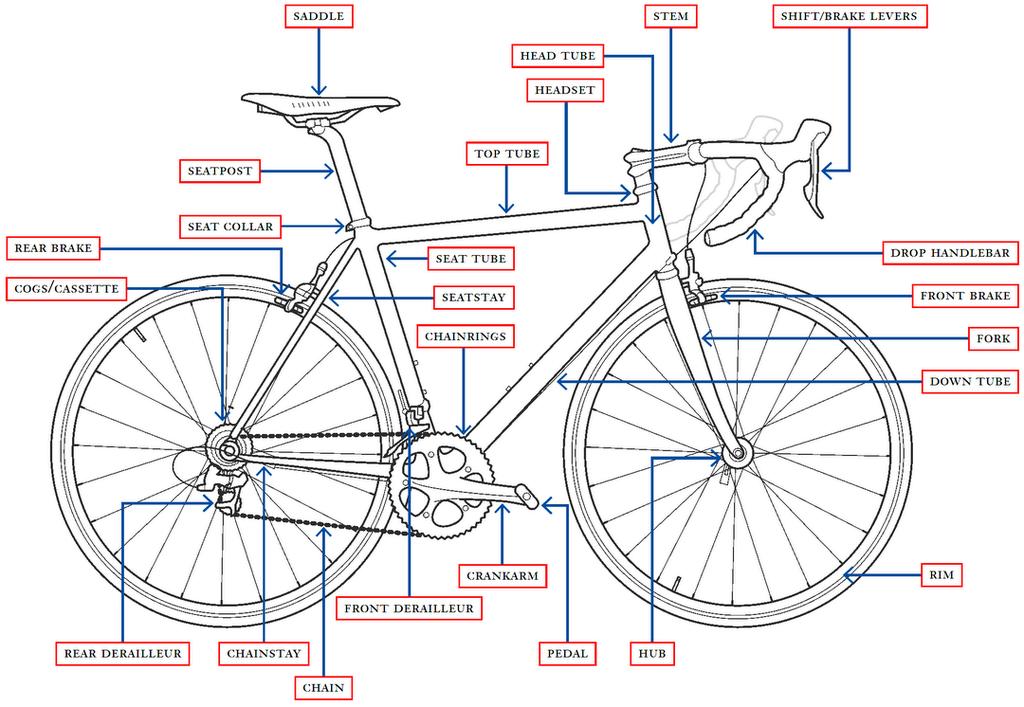 1. Building your new Papillionaire bicycle While the following manual provides detailed instructions on how to properly assemble and maintain your new bike, if you feel unsure about any aspect of the