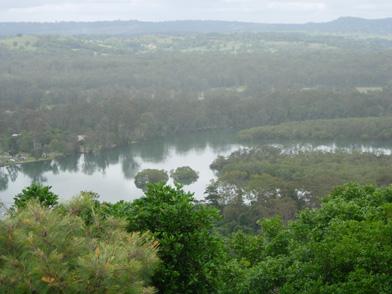 The reserve contains an attractive type of vegetation known as Littoral rainforest, or Coastal Vine Scrub.