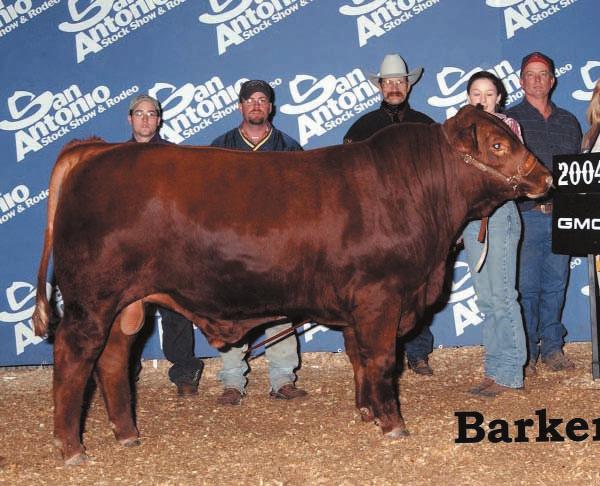 FIRST CLASS PRE-SORT U.S. POSTAGE PAID SAN ANTONIO, TX PERMIT #244 R2 Ranch Source For Success Sale Saturday, October 9, 2004 First Class Mail Red Brangus Red Angus Selling Pairs, Bred Females, Show
