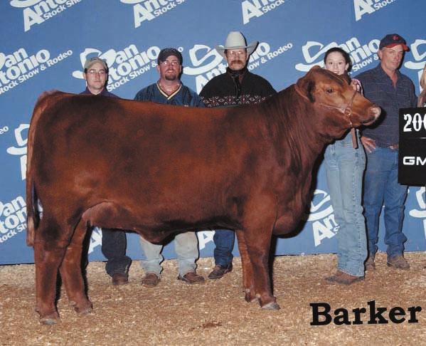 The show was held in conjunction with the 2004 San Antonio Livestock Show and Exposition. R2 extends their congratulations to Charolette Atkinson and Atkinson Cattle Service.