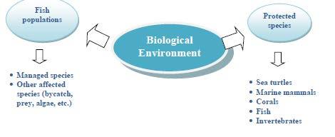 3.2 Description of the Biological, Physical and Ecological Environment The biological environment in the areas affected by actions in this amendment is defined by two components (Figure 3.2.1).