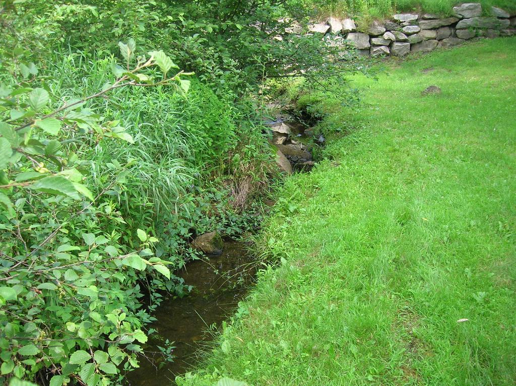 The natural stream bank stability, filtering ability and shading of a stream has been reduced.