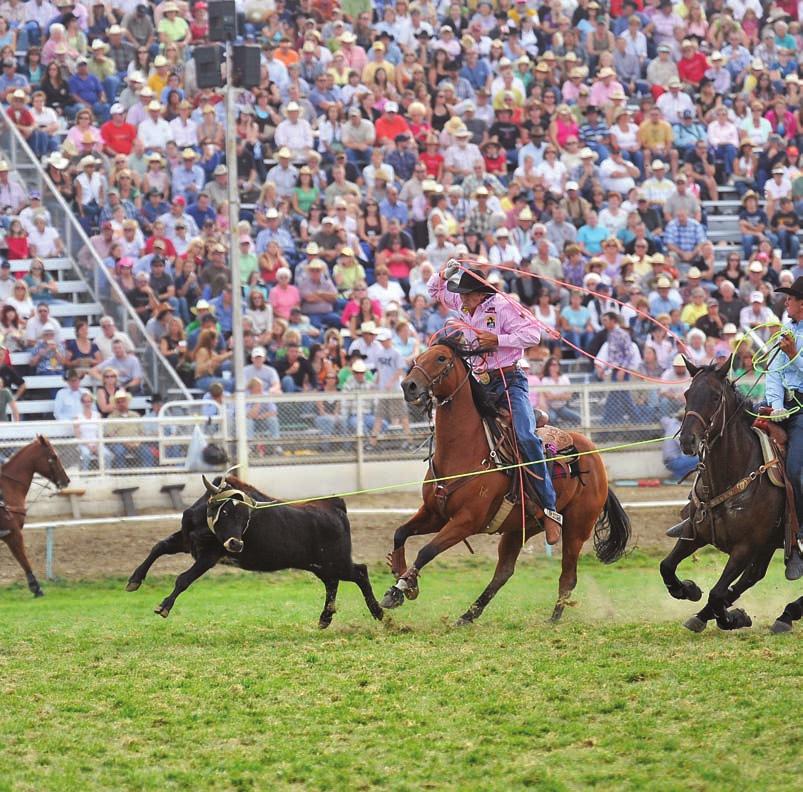 His horses not only work on the ranch, but have won some of team roping s most prestigious awards. Tom Nelson of the HK Ranch believes there is no short cut.