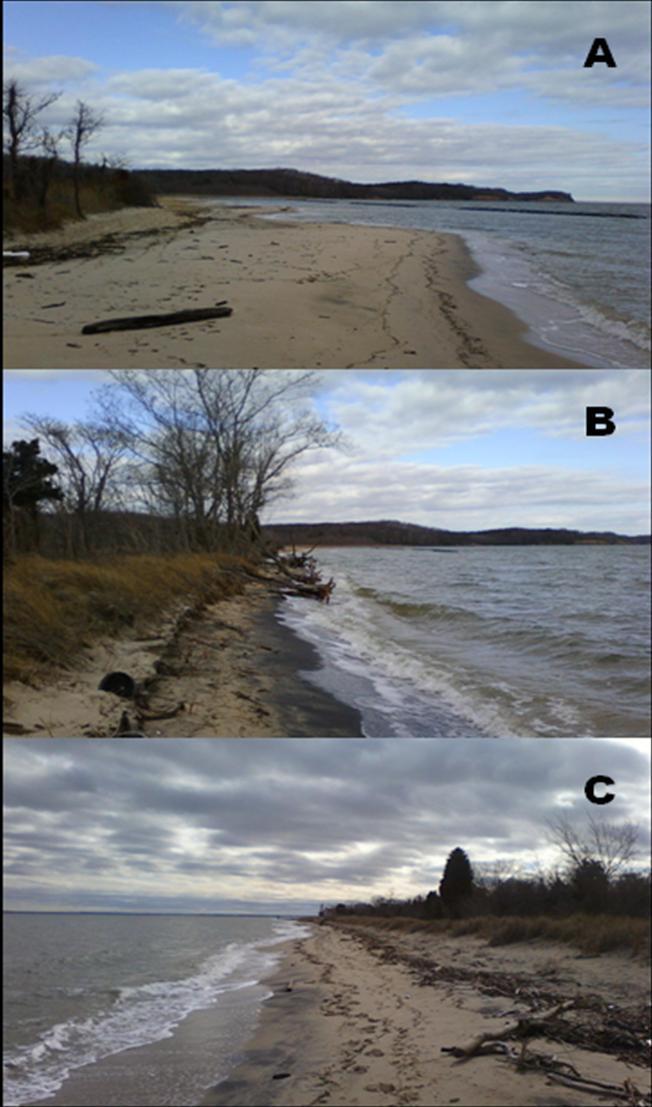 Figure 9. Photographs of Cove Point beach, taken March 2011. 7A: Northern beach. The breakwaters are visible. A wide beach, with low wave energy.