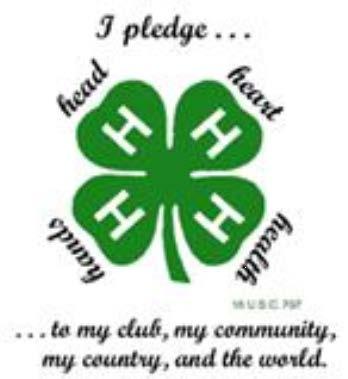 -3- Information and Policies For All 4-H ers Opening Comments All 4-H ers are expected to adhere to a high standard of conduct and behavior, and to abide by the established rules at all times.