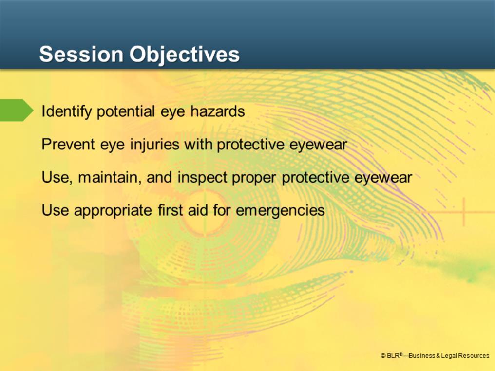 The main objective of this session is to help protect your eyes and your vision, while at work.