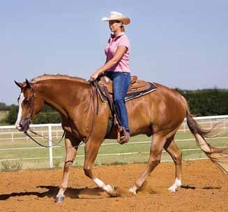 Whatever your purpose is, you need to define it and embrace it. Purpose leads to courage. There s an old saying in horsemanship: The best way to improve the canter is to improve the trot.