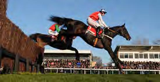 February The Lady ProTECTREss Go Racing Raceday Thursday 23rd February The Cambridge National Family Fun Raceday Sunday 5th March The Festival Fever Go Racing Raceday Wednesday 15th March Midweek Go