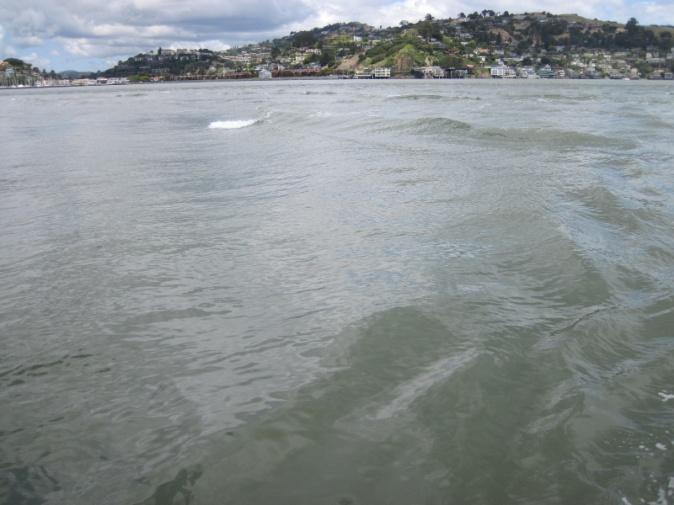 lacking in the GPS sensor observations. Figure 1 Breaking waves as seen from R/V Questuary over the sill in Raccoon Strait (San Francisco Bay) opposing a developing flood tide.