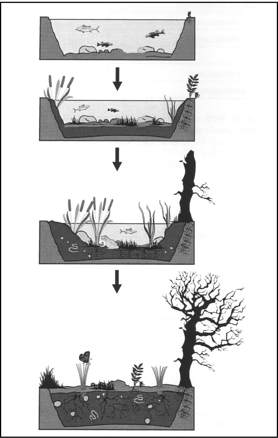 14. How does too much fishing in an area affect its ecosystem? 15. Use the pictures below to answer the following question. A. The fish will lay many more eggs to replace the fish that were caught. B.