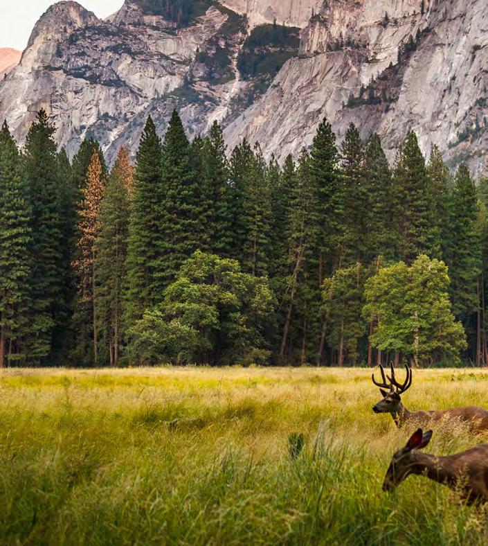 For many of us, America s wild outdoors have served as the backdrop to countless memories formed while camping, hiking, hunting, fishing, birding, boating, cycling, gardening, or simply enjoying the