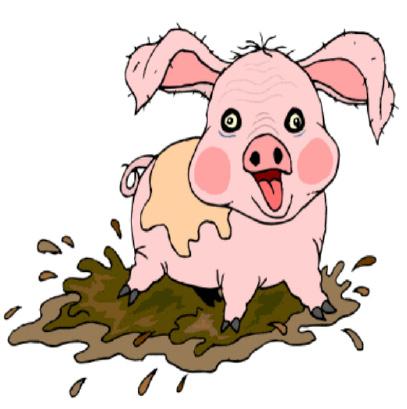 4. FLASHCARD: PIG Flashcard: