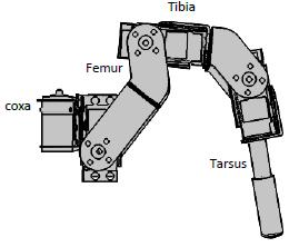 1 (c): System Block Diagram Each of three joint actuators per leg directly drives its associated leg segment.