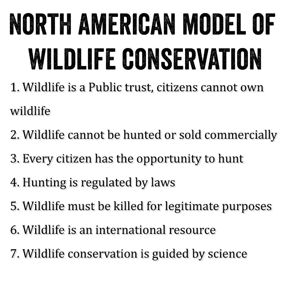 As the original device behind the North American conservation movement, hunting represents the three pivotal pillars
