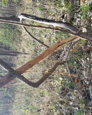 These funnels are a great place to scout and look for deer sign.