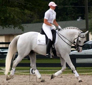 Not only are these great exercise for the increases in engagement they are great exercises to help and develop suppleness, straightness and develops greater efficient contact from rider to horse.