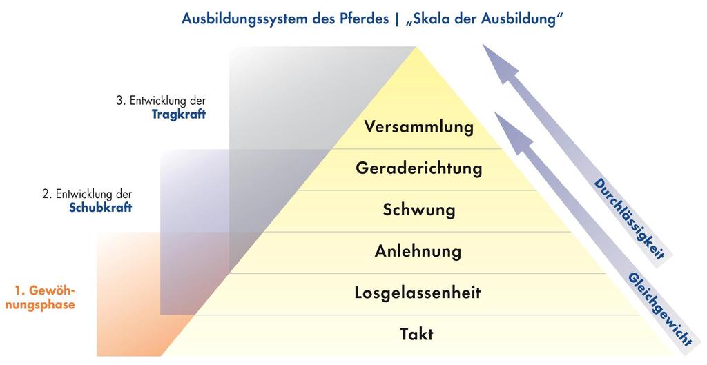 The Training Pyramid development of carrying capacity development of forward thrust