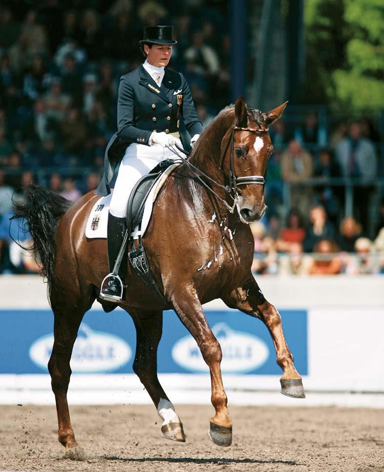 Exemplary exercises and movements Flying change Important: showing reaction to the rider s aids quality of the canter before, during and after a sequence of flying changes