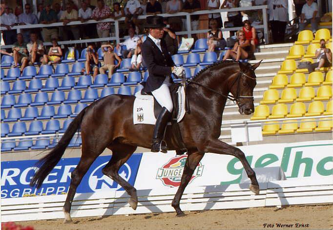 International competitions for young horses