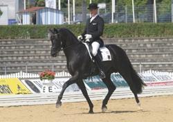 International competitions for young horses Aims and basic idea to introduce 5- and 6-year- old horses to dressage competitions to