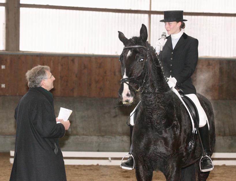 Competitions for Young Horses Summary Judging the young horse competition is based on extensive experience in judging dressage classes.