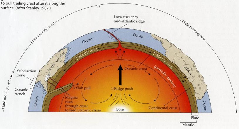Geography: The Physical Template The Earth s crust changes across space and time.