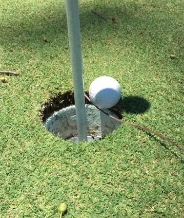 Decision: On the putting green, if the player s removal of a loose impediment causes the ball to move, the ball is replaced without penalty.