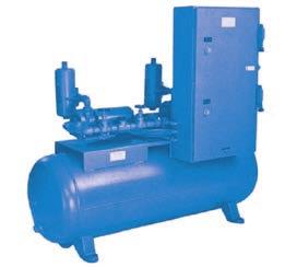 Remediation Package - Oil Sealed) Series single-stage vacuum pump apacity range: