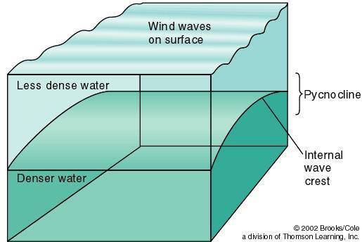Internal Waves Waves that occur at the boundaries of water