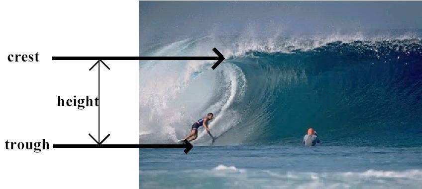 How tall is a wave?