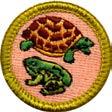 NATURE 9:30 am, 3:00 pm Eco Lodge Advance Preparation: Needs previous work in order to complete at camp. Read merit badge pamphlet.