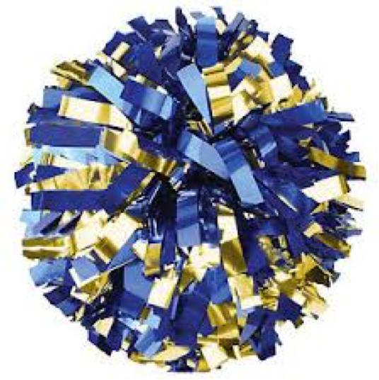 Olentangy High School Cheerleading Tryout Packet 2018-2019 season Thank you for your interest in the cheerleading program at Olentangy High School!