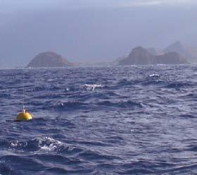 Hawaii Buoy Observations UH/SOEST