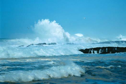 Swell and Wave Forecasting Additional tips for wave forecasting: 2.
